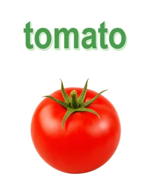 Tomato